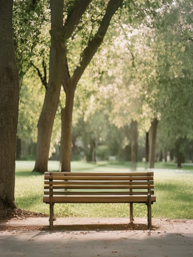 Afternoon pause Outdoor park bench surrounded by trees in soft afternoon light